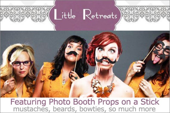 Custom Listing for ashleygraves2 - Brown Photo Props on a Stick