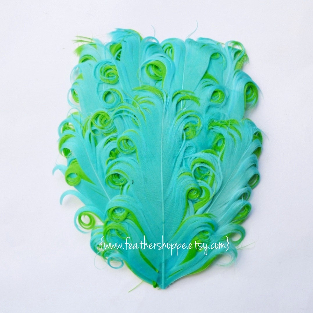 NEW Curlz Line - Aqua Blue on Lime Nagorie Curled Goose Feather Pad
