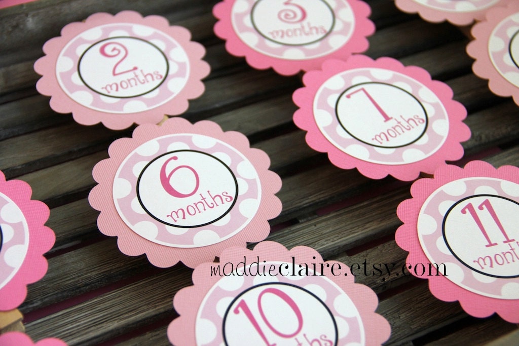 Princess Polka Dot First Year Month Display Clips