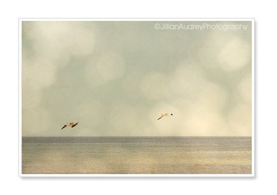 Beach Photography / Sea Gulls Nature Photograph / Ocean Photography / 4x6 Fine Art Photo / Minimalist Wall Art / Blue