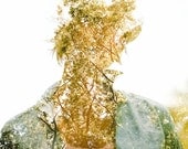 Grow - 11x14 120/medium format print