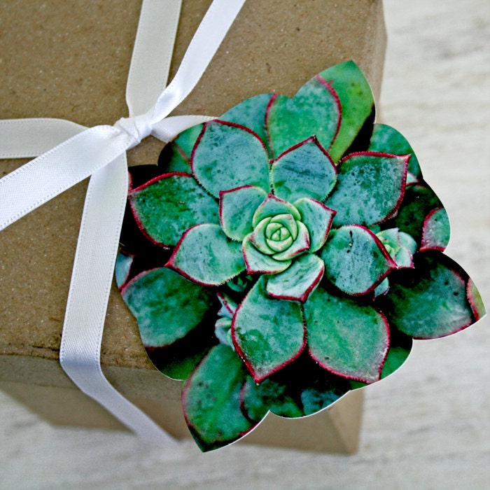 Posy Tags set of three Succulent, Pink Pansy, Violet Pansy