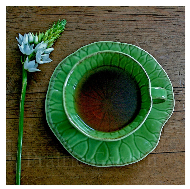 Green Tea cup and flower Mist 8x8 fine art photo