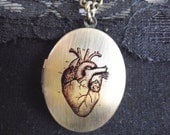 Gifted Heart - Anatomical Heart Locket Necklace