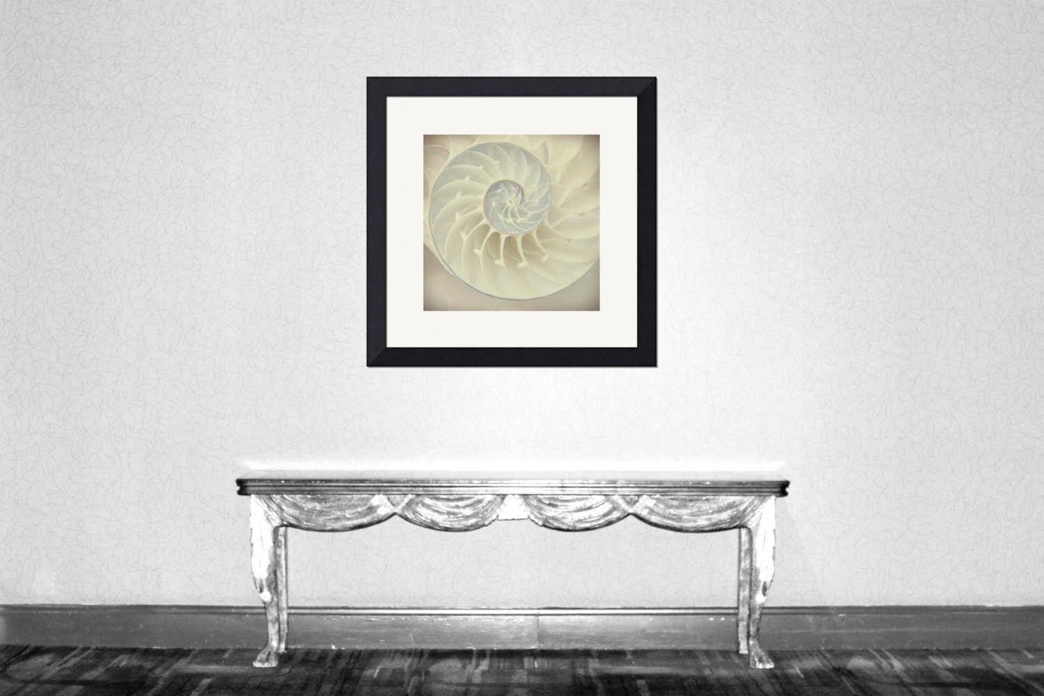 Ocean Dreaming Nautilus Shell Ocean is calling Beach bum Wedding gift Gift Beach house decor Summer decor  color photography home deco
