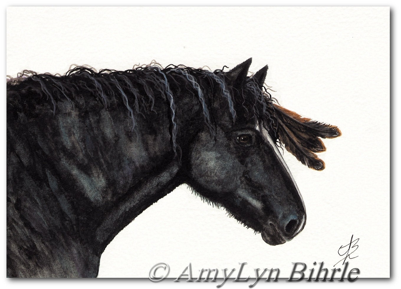 Black Bashkir Curly Horse Native American Spirit Feathers 64-  8.5 x 11 Print by AmyLyn Bihrle