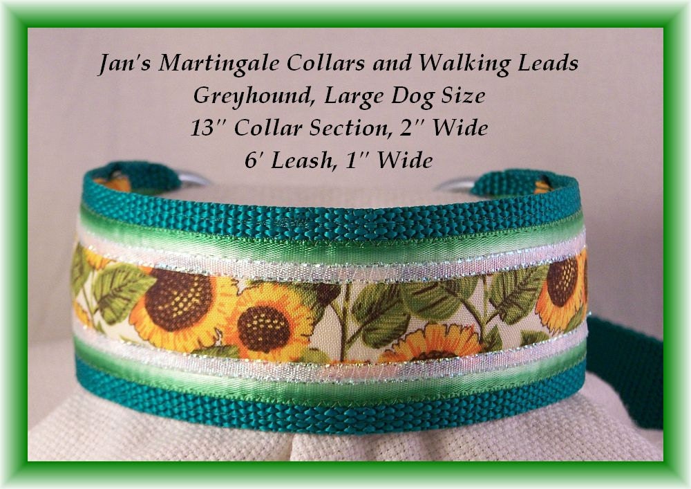 Martingale Collar and Leash Combination Walking Lead, Large Dog, Greyhound Size, Green