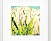Carefreeness . Framed Art Print . 12" x 12" . Summer . Nature . Reed . Vacation . Fun . Flora . White Wooden Frame
