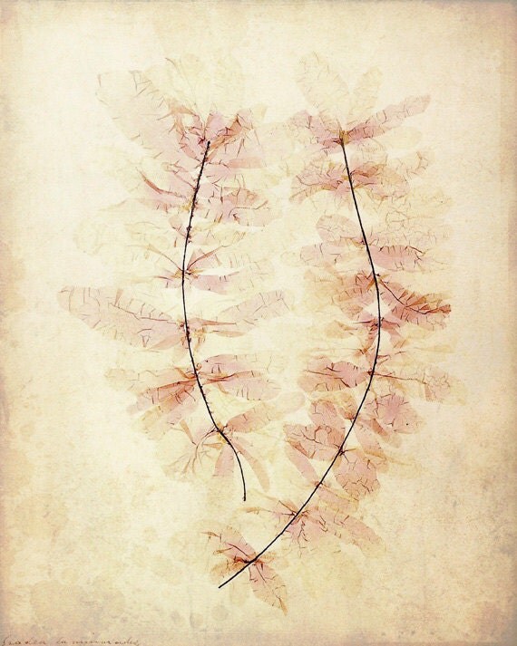 Antique Botanical Print "Ghost Leaves" Victorian Floral Pressed Flowers - Vintage Woodland - Pink Sepia Leaves