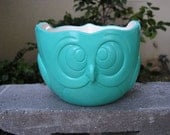 Simply Cool Owl Party Dish Turquoise