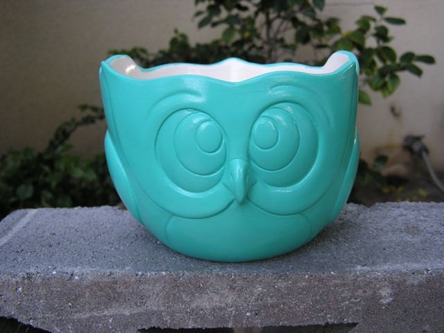 Simply Cool Owl Party Dish Turquoise