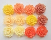 12  Rose cabochons resin coral orange yellow  flatback jewelry supplies 20mm x 9mm H005 E