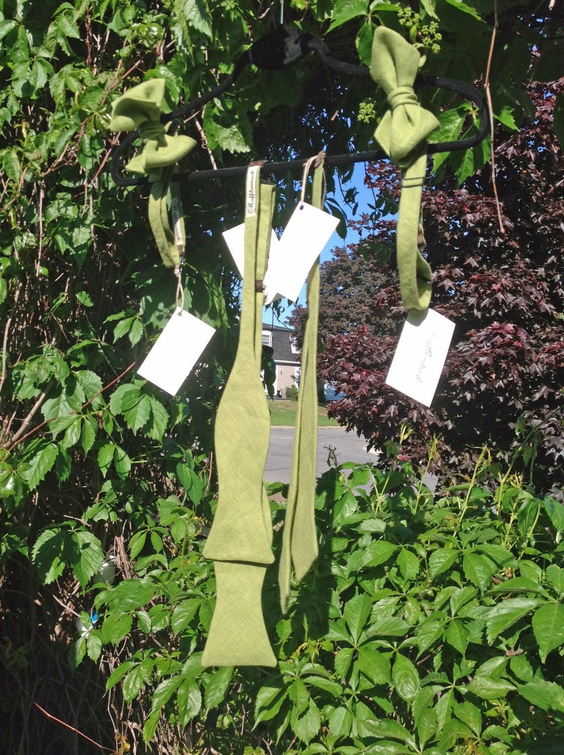 May Sale - Variety of Turtle Green Adjustable Bow Ties