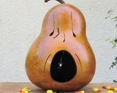 Halloween Gourd Jack O Lantern Natural Fall Harvest Pumpkin Decoration