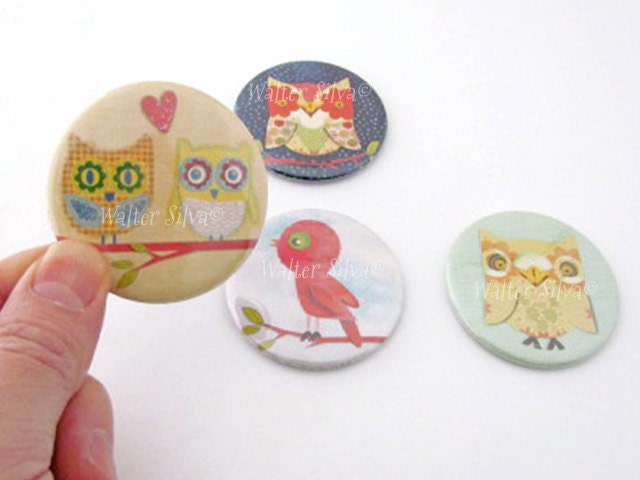 Set of 4 Owl BIRD Round Magnets by Walter Silva