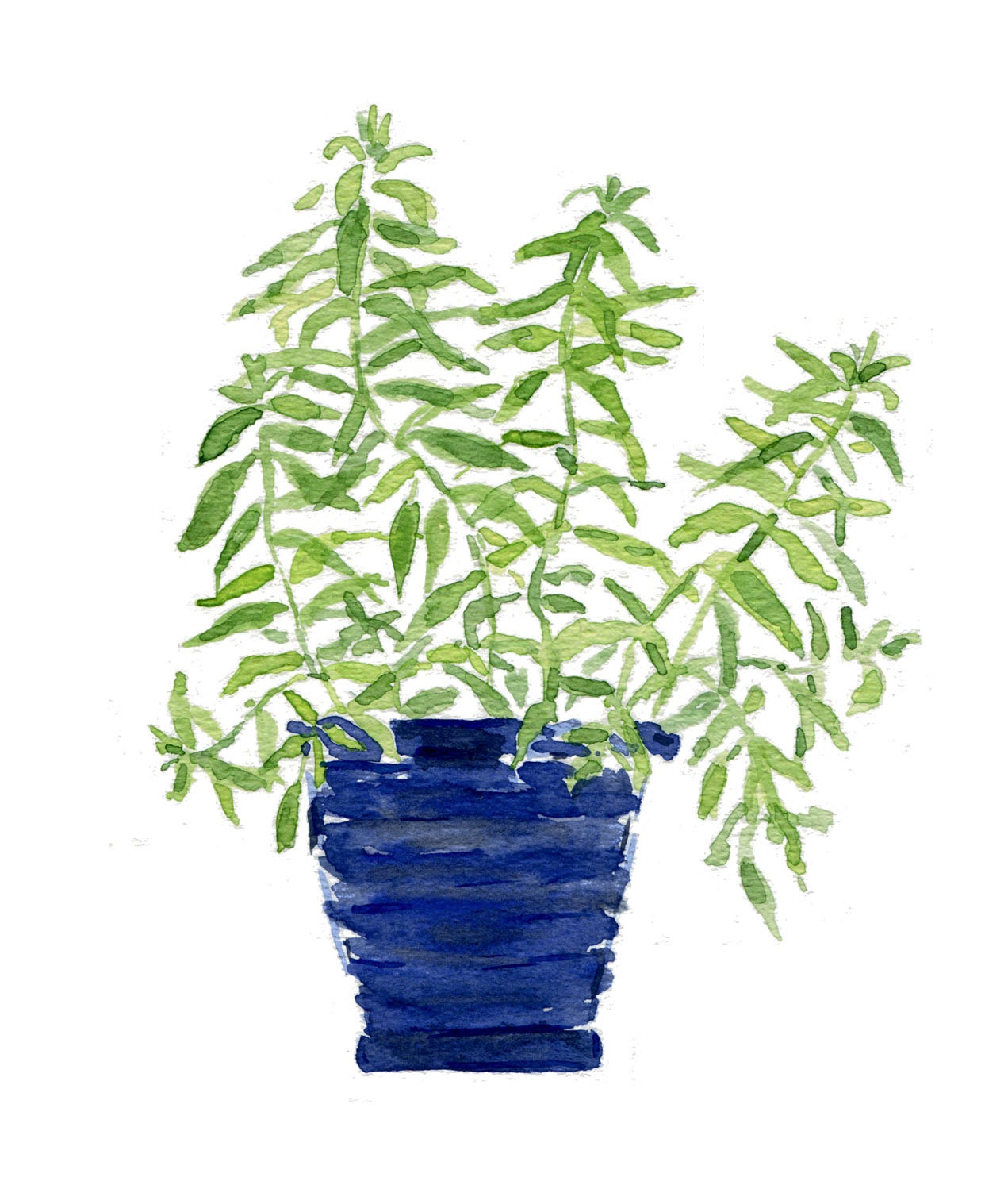 Lemon verbana plant  in a Blue  planter, original watercolor painting, herb, kitchen decor, mothers day, wall decor,  Cottage chic,