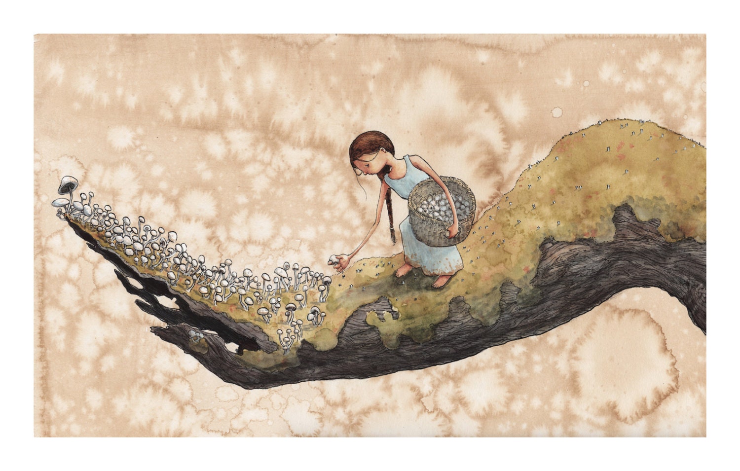 The Forager limited edition giclee print