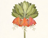 Original Botanical Folk Art Illustration - Botanical Wall Decor Digital Art Print - 8 x 10