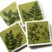 Leaf Coasters, Fern Decor, Spring Green Foliage Art, Summer Leaves Botanical Table Decor, Ceramic Tile, Set of 4