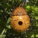 Wrens Birdhouse Gourd Gnome Fairy Home
