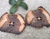 Rustic Wood Buttons - 2 Handmade Ohio Wooden Peach Tree Branch Buttons with Bark - 2 3/4 inches, For Journals, Pillows, Knitting and Sewing