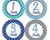 Boy Monthly Photo Stickers - Baby Boy Monthly Onesie Stickers - Blue and Grey Month Stickers - Baby Shower Gift - Photo Prop - Alec Il_170x135