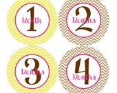 Girl Month by Month Stickers - Girl Baby Monthly Stickers - Raspberry, Brown and Yellow Chevron Girl Month Stickers - Dina Il_170x135