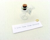 I Love You, message in a bottle, rustic, hand typed and lace