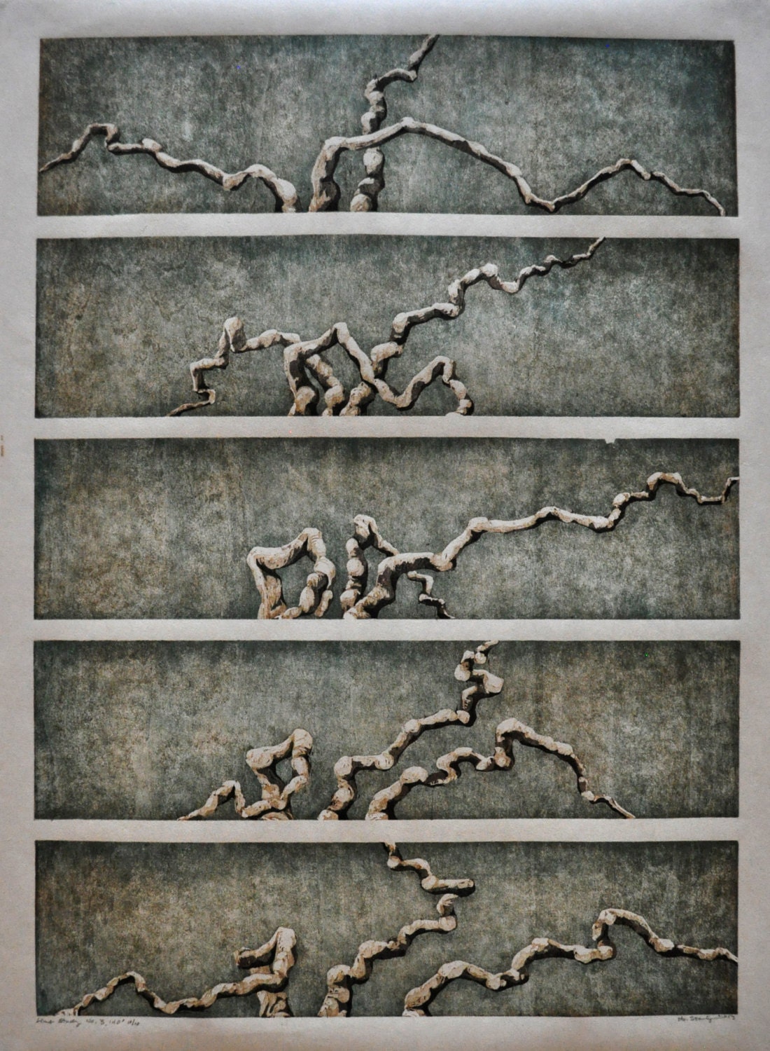 Original Hand Pulled Fine Art Print - LIMB STUDY woodblock reduction print OOAK Limited Edition Tree
