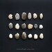Stone Collection N3 . 8x10. Fine Art Photographic Natural History Print. Minimal simple style. Natural Home Decor. Indoor garden botanical