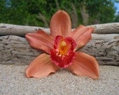 Orchid Flower Hair Clip-Weddings, Beach Destination Weddings, Vacations, Tropical Flowers, Hawaiian, Paradise, Floral Hair Clips