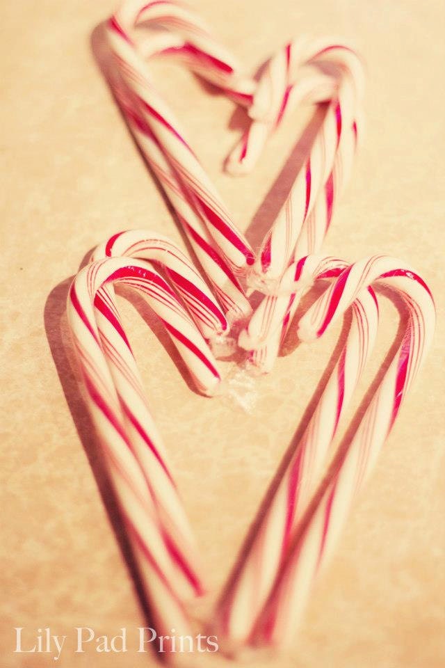 Candy cane hearts photograph -  Love 8x10 fine art print- romance, wall decor, Christmas decor, red white hearts, Valentine's day