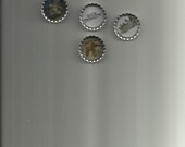 Duck Dynasty 2 Bottle Cap Magnets set of 5
