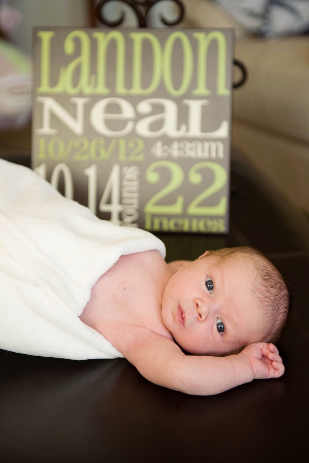 Birth Announcement Subway Art Baby Sign