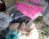 Feathers...Massive Destash.... Ostrich, peacock, goose, coque and more