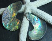The Deep: Mermaid Fins. Rustic Abalone section and Mystic green AB crystal earrings. ooak