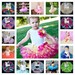 Baby Photo Props Tutu Skirt Set