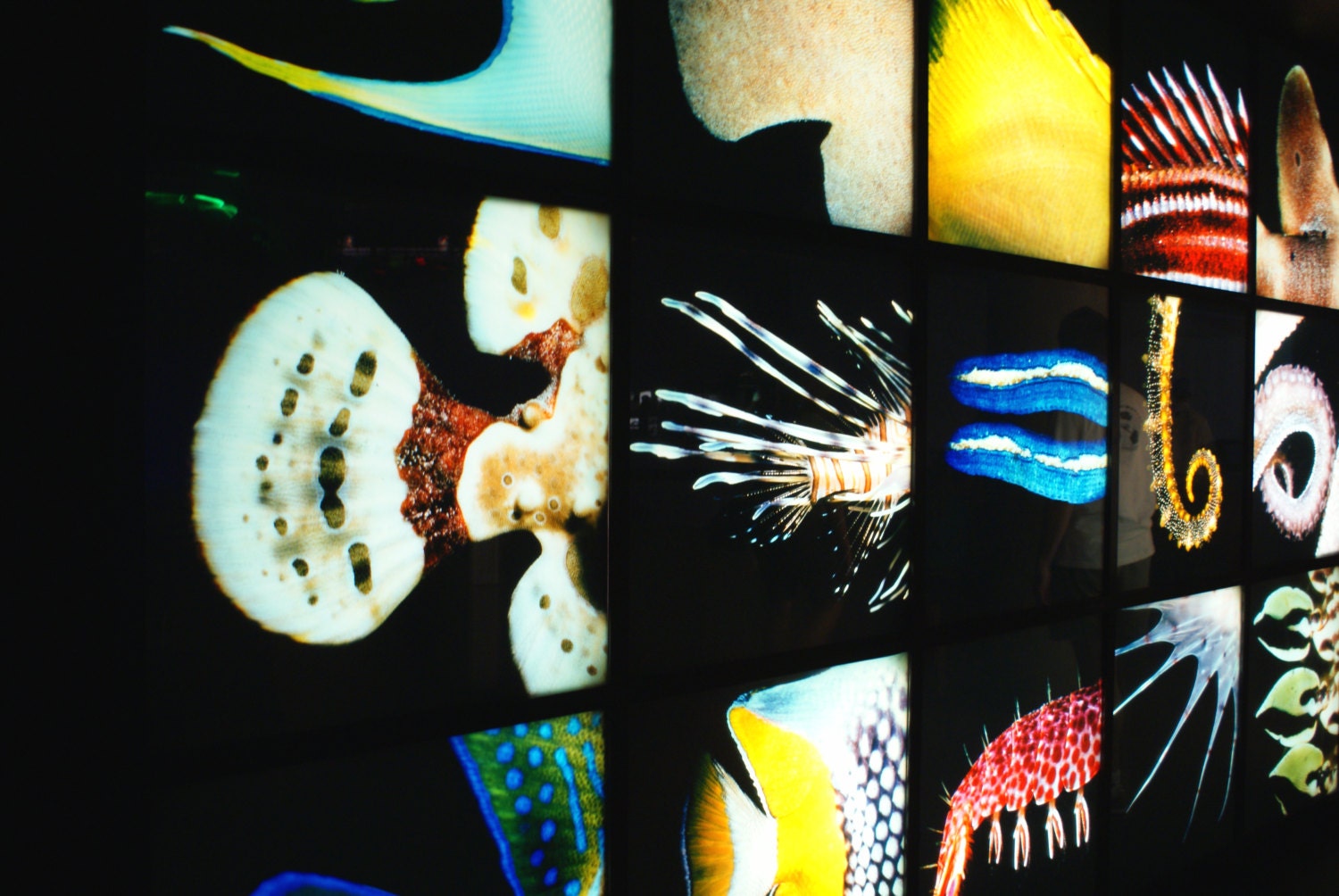 Baltimore Aquarium