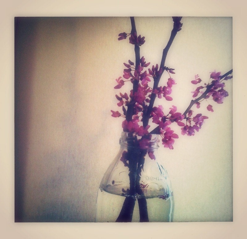 Flowering Crimson Love
