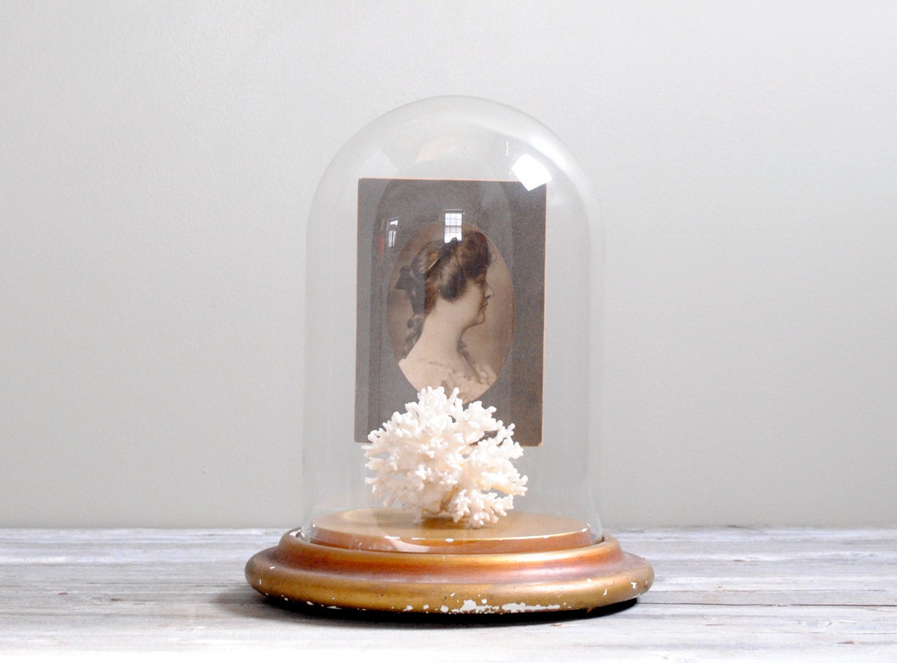 Large Vintage Display Dome Cloche
