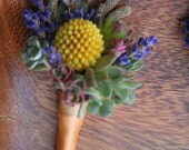Boutonnieres, colorful mix of craspedia, lavender and small succulents, wrapped in peach/ yellow satin ribbon.