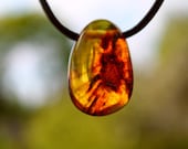 Natural Honey Baltic Amber Charm, Amber Necklace, Amber Pendant, Honey, Brown, Yellow,  Leather, Unisex Pendant, Gift for him