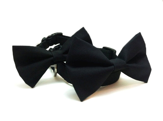 Black Formal Wedding - Dog Bow Tie Collar