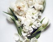 Flower Photography Modern Still Life of White Flowers Spring Still Life No. 1