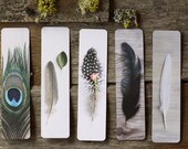 Graduation  2013 Feather Bookmarks (5)  Art Photography Five Feather Bookmarks