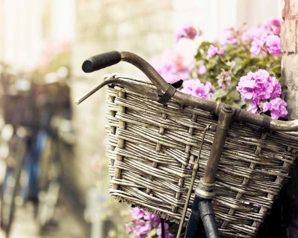 Bicycle basket photograph - Summer -  purple pink flowers - french country - pale shabby chic, feminine, beige