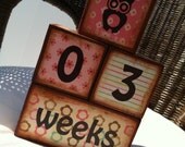Ready to Ship Wooden Baby Blocks Age Blocks for Photos 