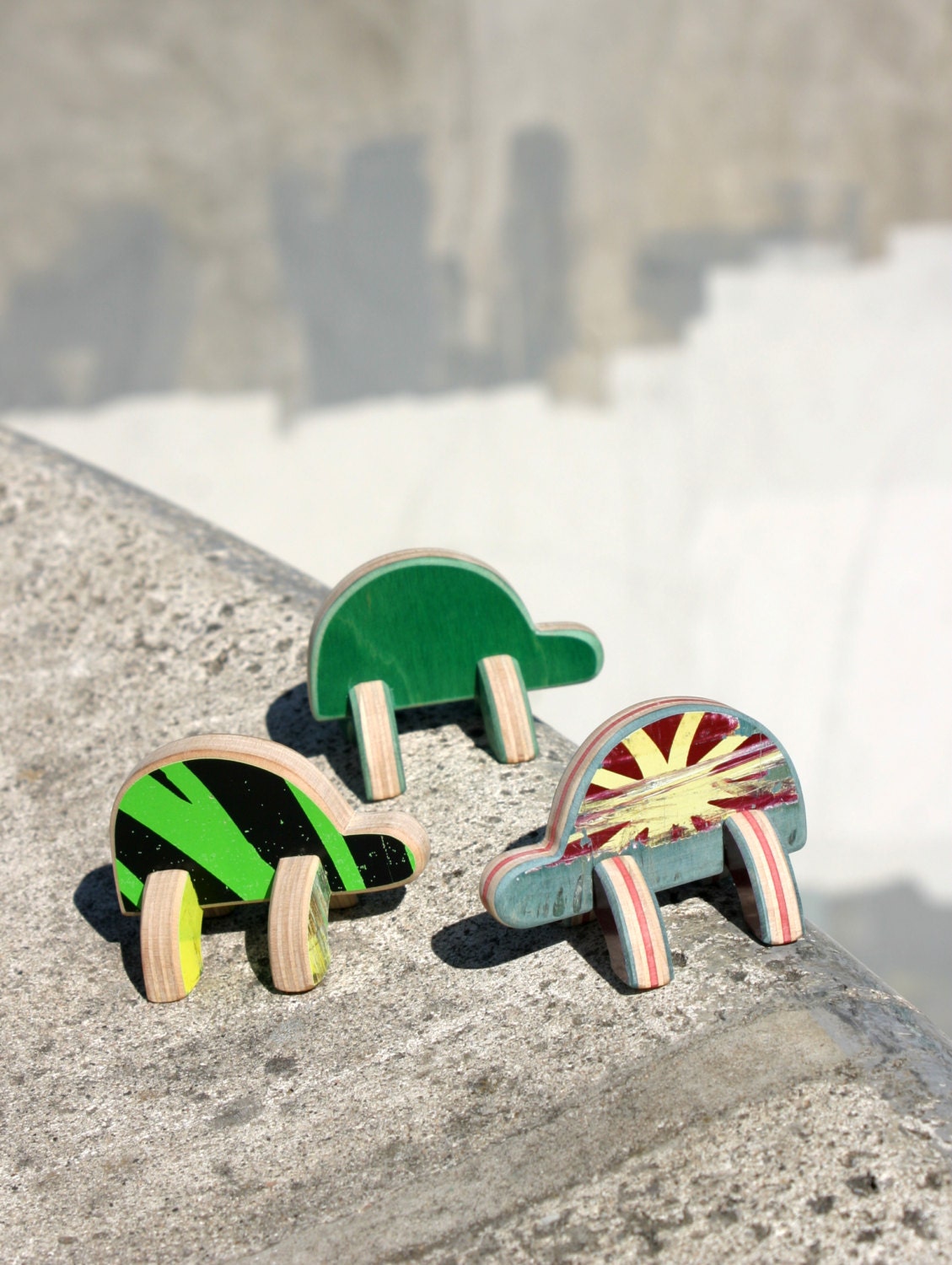 Skateboard Turtle