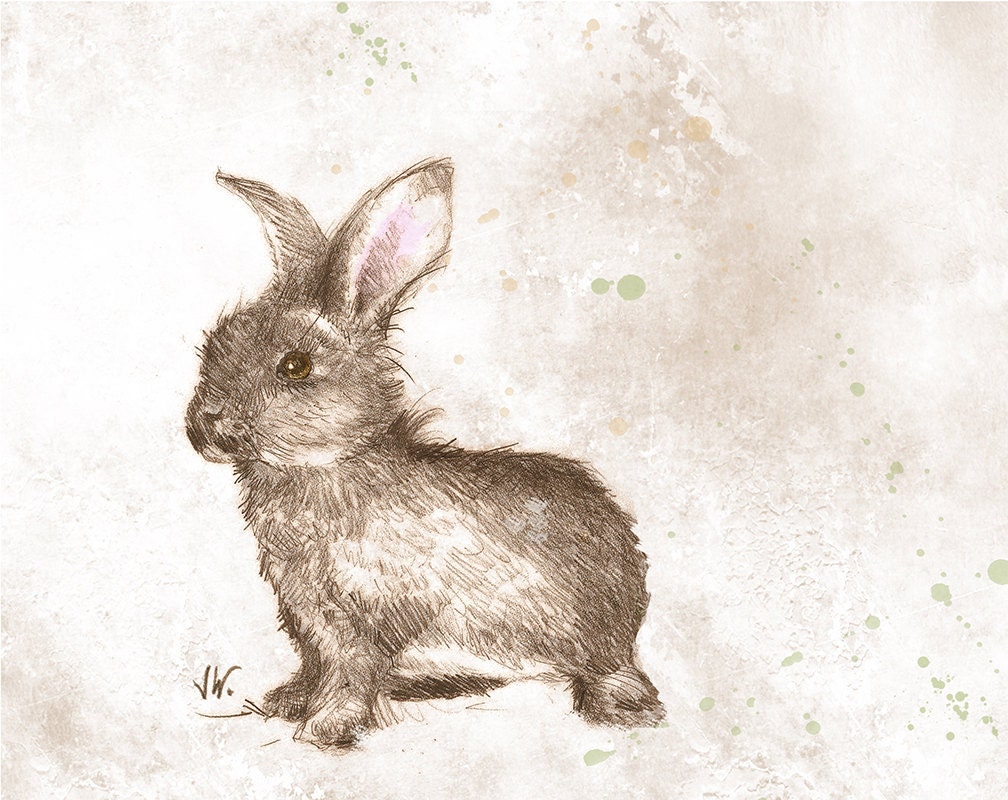 Happy Bunny. Rabbit. Hare. Fine Art Print from my Original Drawing. Woodland Animal