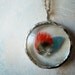Feather Necklace. Sterling Silver Chain. Genuine Red Blue Macaw Parrot Tribal Feather Jewelry